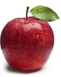 Picture for Academic Life Coaching package